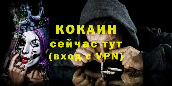 соль ск Алзамай