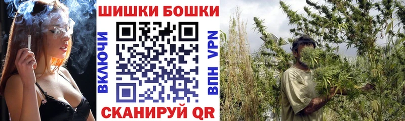 где купить   Льгов  Шишки марихуана гибрид 